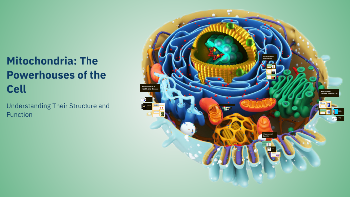 Mitochondria: The Powerhouses of the Cell by Hamani mohamed on Prezi