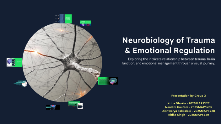Neurobiology of Trauma & Emotional Regulation by Krina Dhokia on Prezi