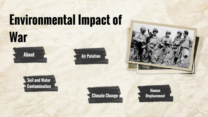 effects of war on environment essay