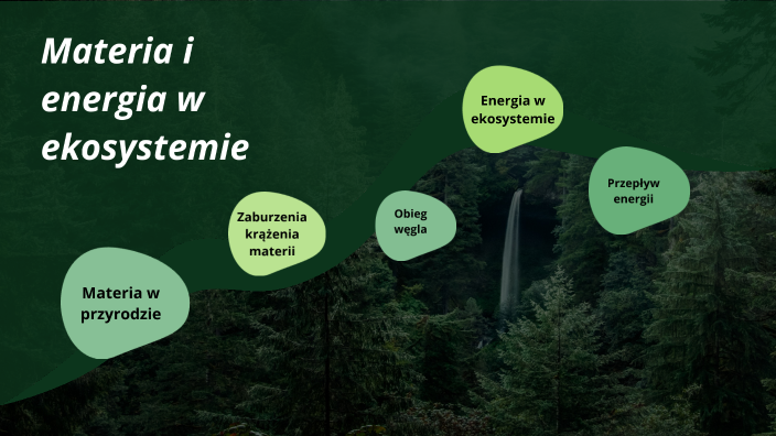 Przepływ Energii W Ekosystemie Materia i energia w ekosystemie by lucja Bartoszcze on Prezi