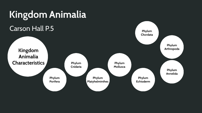 Zoology Kingdom Animalia by Carson Hall