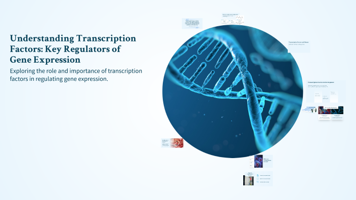 Understanding Transcription Factors: Key Regulators of Gene Expression ...