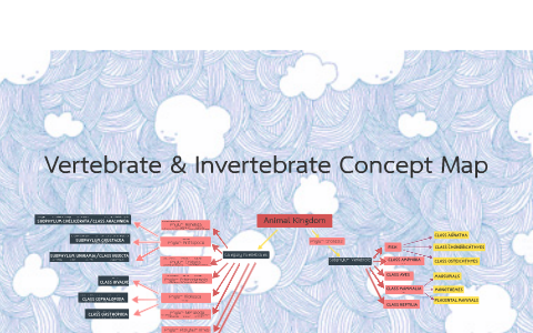 Vertebrate & Invertebrate Concept Map by Julia Ngô