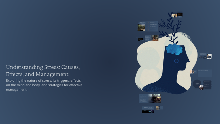 Understanding Stress: Causes, Effects, and Management by Անի Ազատյան on ...