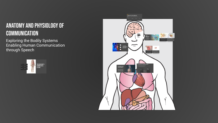 Anatomy and Physiology of Communication by Shuang Guan on Prezi