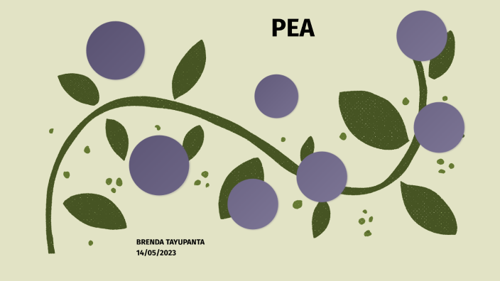 PEA by BRENDA DENNIS TAYUPANTA NACATA on Prezi Next