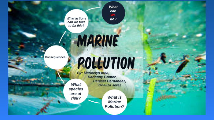 Marine Pollution by Maricelys Inoa on Prezi