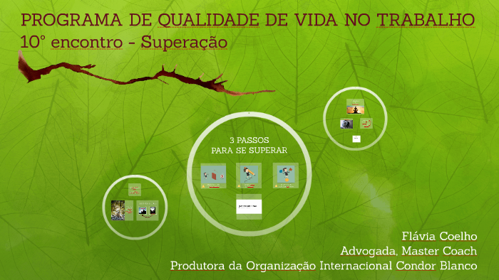 10. PROGRAMA DE QUALIDADE DE VIDA NO TRABALHO By Fernanda Car