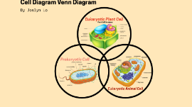 Biology Cell Project Venn Diagram by Joslyn Lo