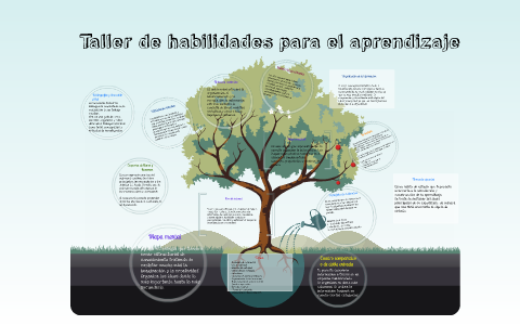 Taller de habilidades para el aprendizaje by on Prezi