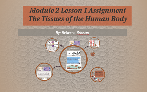 Module 2 Lesson 1 Assignment by Becca Brinson on Prezi