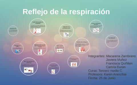 Reflejo de la respiración by Camila Durán on Prezi