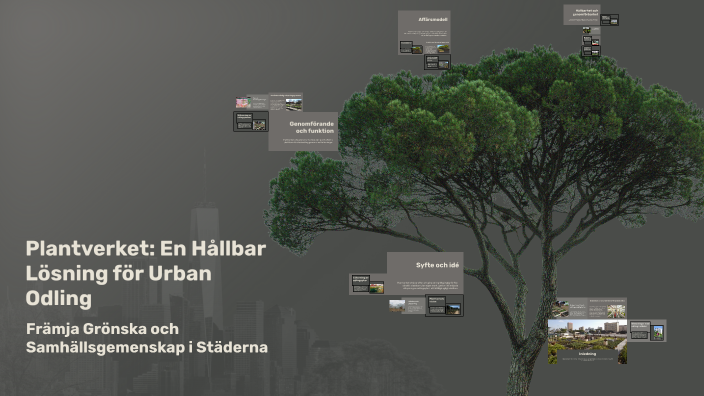 Plantverket: En Hållbar Lösning för Urban Odling by Oscar Ljung on Prezi