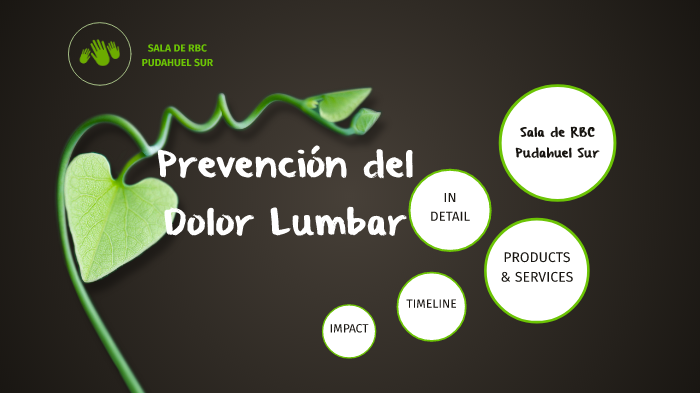 Prevención Del Dolor Lumbar By Sala Rehabilitacion Pudahuel Sur On Prezi