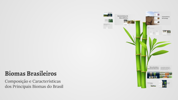 Biomas Brasileiros by simone gomes on Prezi