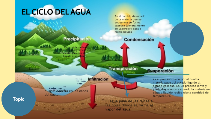 ciclo del agua by ALVARO PELLUS LOPEZ