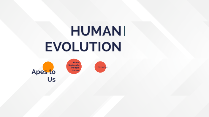 Human Evolution by Maggie Kellaway on Prezi