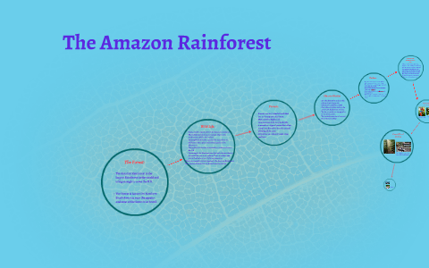 The Amazon Rainforest by Aiyah Bakir on Prezi