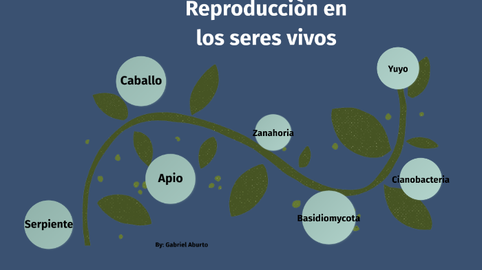 Reproduccion en los seres vivos by Gabriel Aburto on Prezi