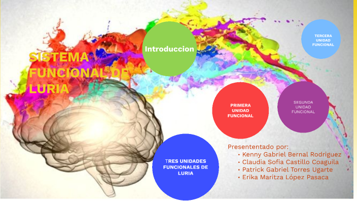 Unidades funcionales de luria by claudia sofia castillo coaguila on Prezi