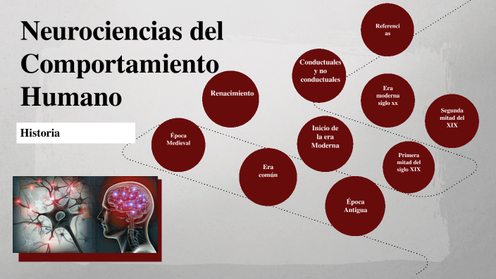 Neurociencias del Comportamiento Humano by Dellys Tapia on Prezi