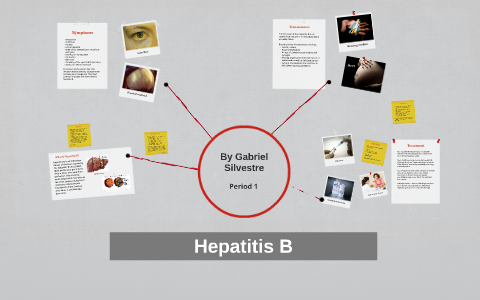 Hepatitis B by Gabby S on Prezi