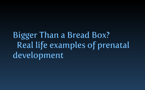 Bigger Than A Bread Box? Equivalent Stages Of Prenatal Development By ...