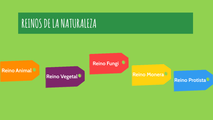 REINOS DE LA NATURALEZA by aldana fabian on Prezi