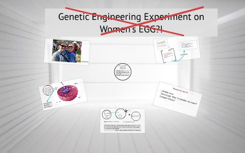 Genetic Engineering Experiment on Women's EGG? by Eileen Guan on Prezi