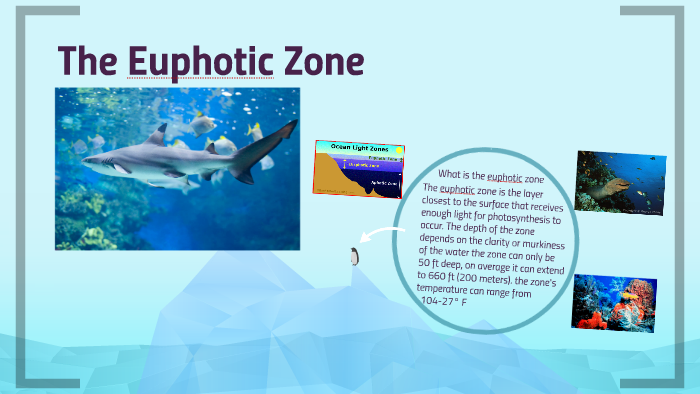 What is the Euphotic Zone? by Elijah Ooka