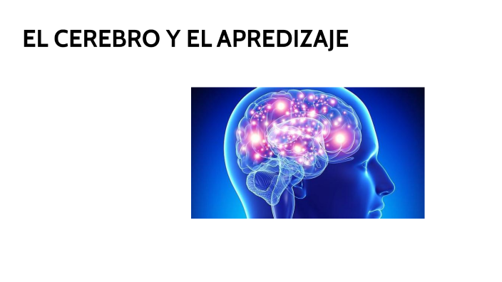 EL CEREBRO Y EL APRENDIZAJE by ilenia anastasi on Prezi