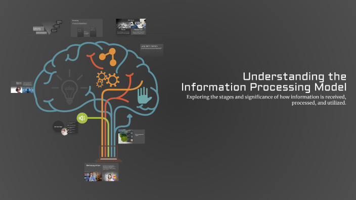 Understanding the Information Processing Model by moso w on Prezi