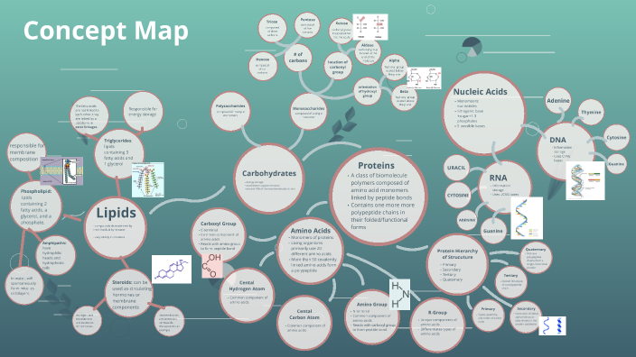 Concept Map by Maera Jimenez on Prezi