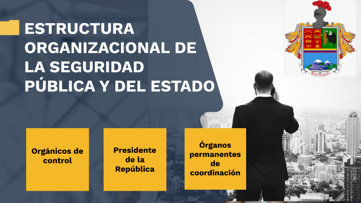 ESTRUCTURA ORGANIZACIONAL DE LA SEGURIDAD PÚBLICA Y DEL ESTADO by ...