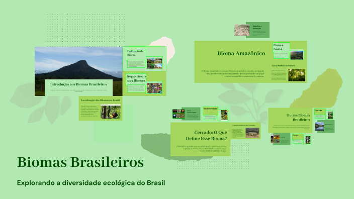 Biomas Brasileiros by Aluno Escola on Prezi