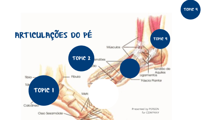 anatomia 2.0 by Marcella Rodrigues on Prezi