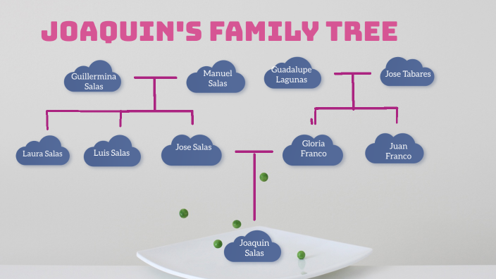 Joaquin'S family tree by Joaquin Salas on Prezi