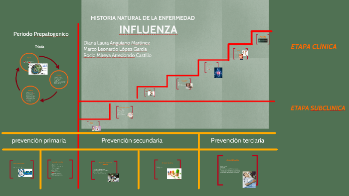 HISTORIA NATURAL DE LA ENFERMEDAD by Rocio Arredondo