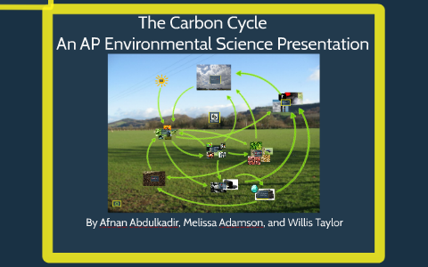 The Carbon Cycle by Willis Taylor on Prezi