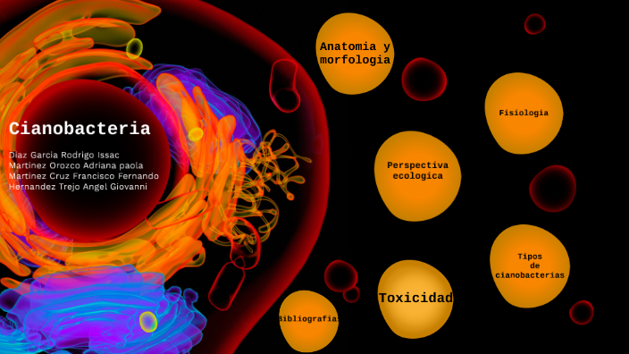 Cyanobacterias by Francisco Martinez on Prezi