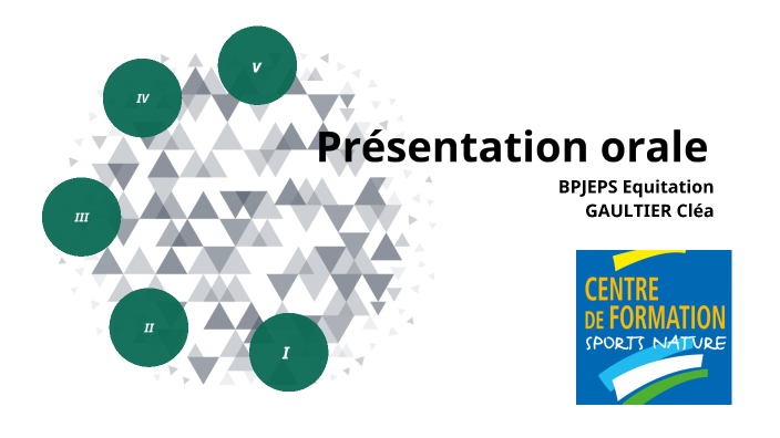 Dossier Pédagogique Bpjeps Equitation Page De Garde