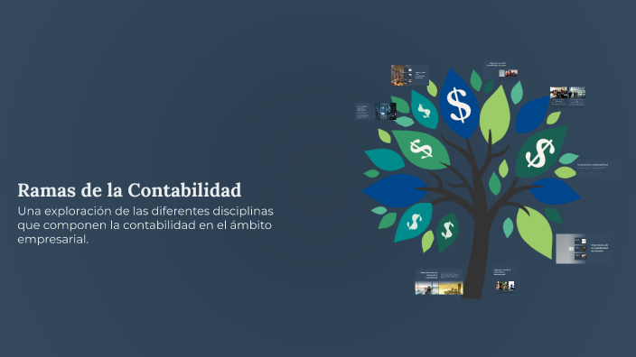 Ramas de la Contabilidad by katherine trejo on Prezi