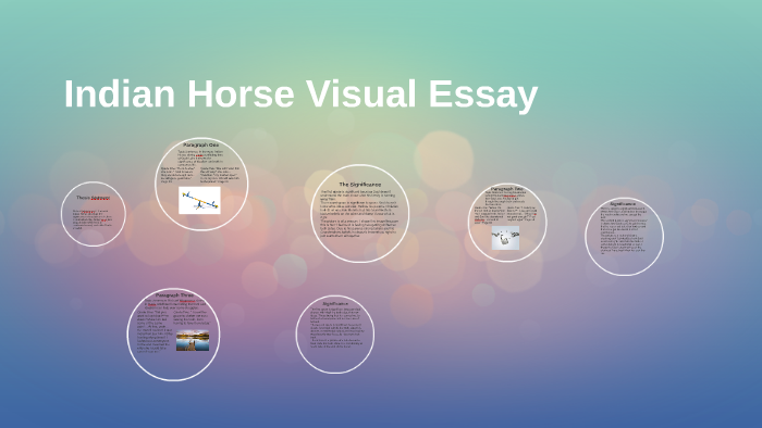 indian horse book essay