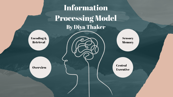 Information Processing Model by Diya Thaker on Prezi