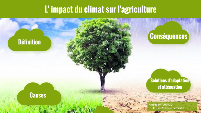 L'impact du climat sur l'agriculture by amélie paturaud on Prezi
