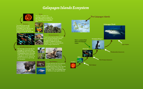 Galapagos Islands Ecosystem by Amanda Sisnarine on Prezi