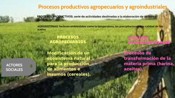 Procesos productivos agropecuarios yagroindustriales by Clara Gomez