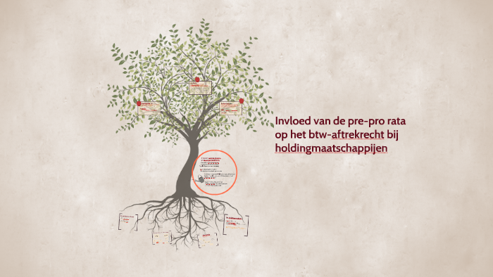 Pre-pro rata en het aftrekrecht bij holdingmaatschappijen by Stan Veeke ...