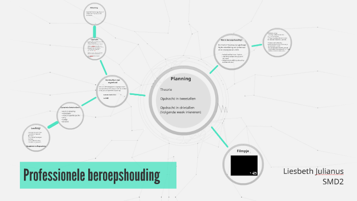Professionele beroepshouding by Liesbeth Julianus