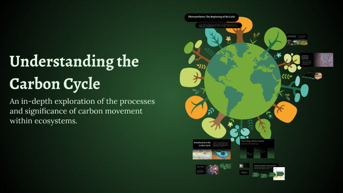 Understanding the Carbon Cycle by Molly Fletcher on Prezi